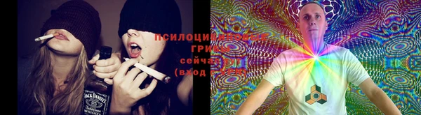 дмт Балабаново