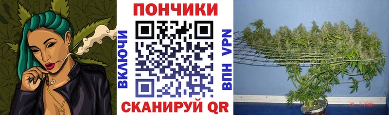 Каннабис Bruce Banner Липки